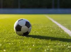 夜幕下网友,邂逅撒贝宁,夫妇,星空娱乐官网,星空娱乐官网在线娱乐平台